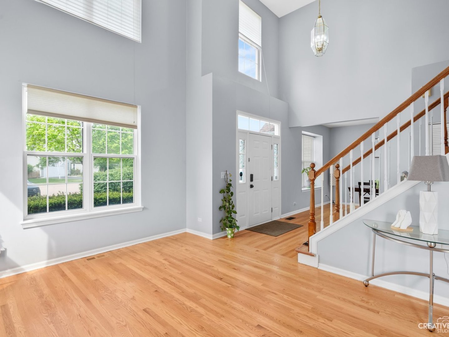 1208 Amaranth Drive Naperville IL 60564