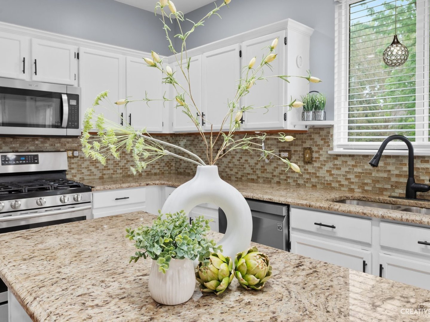 1208 Amaranth Drive Naperville IL 60564