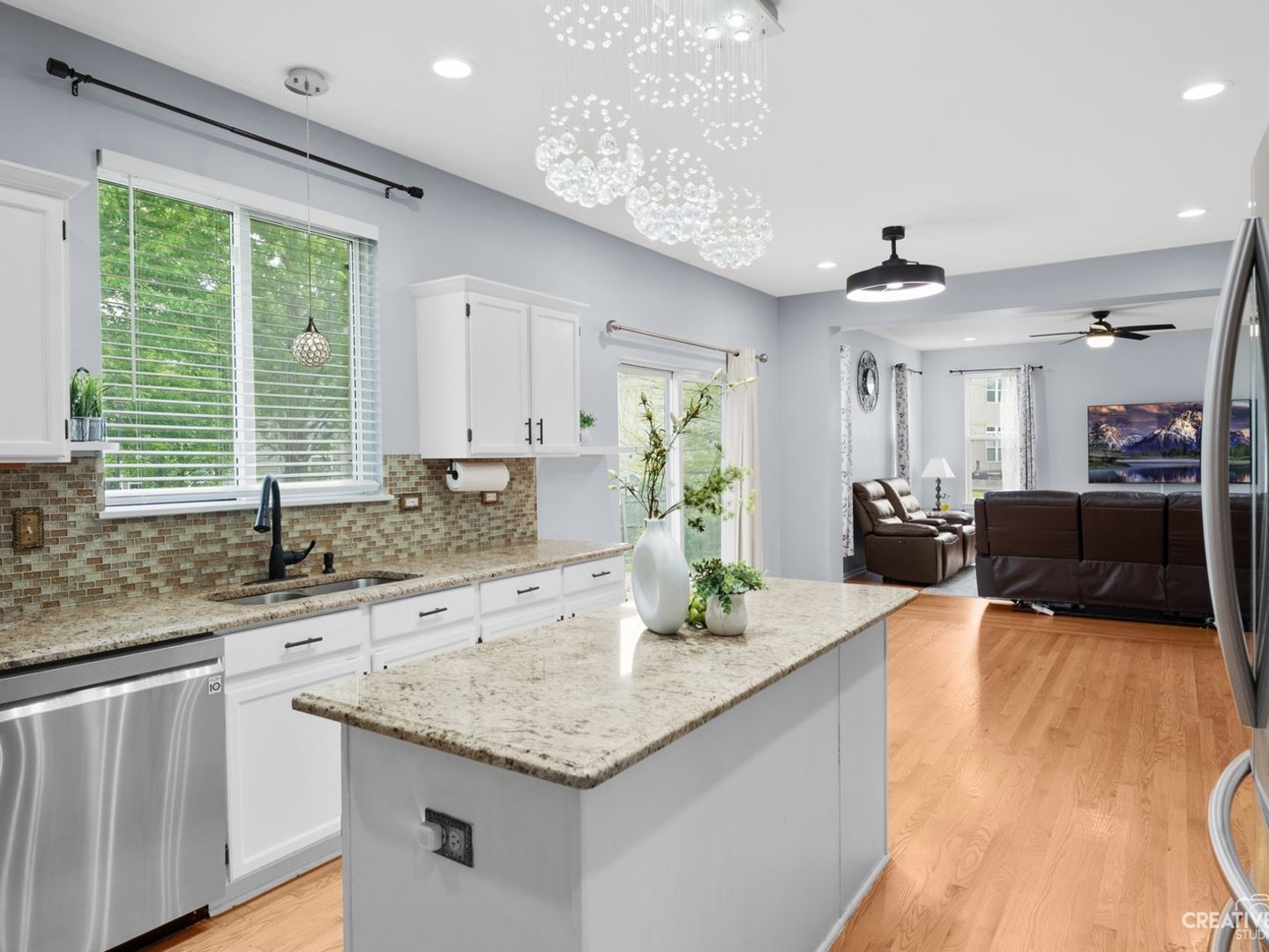 1208 Amaranth Drive Naperville IL 60564
