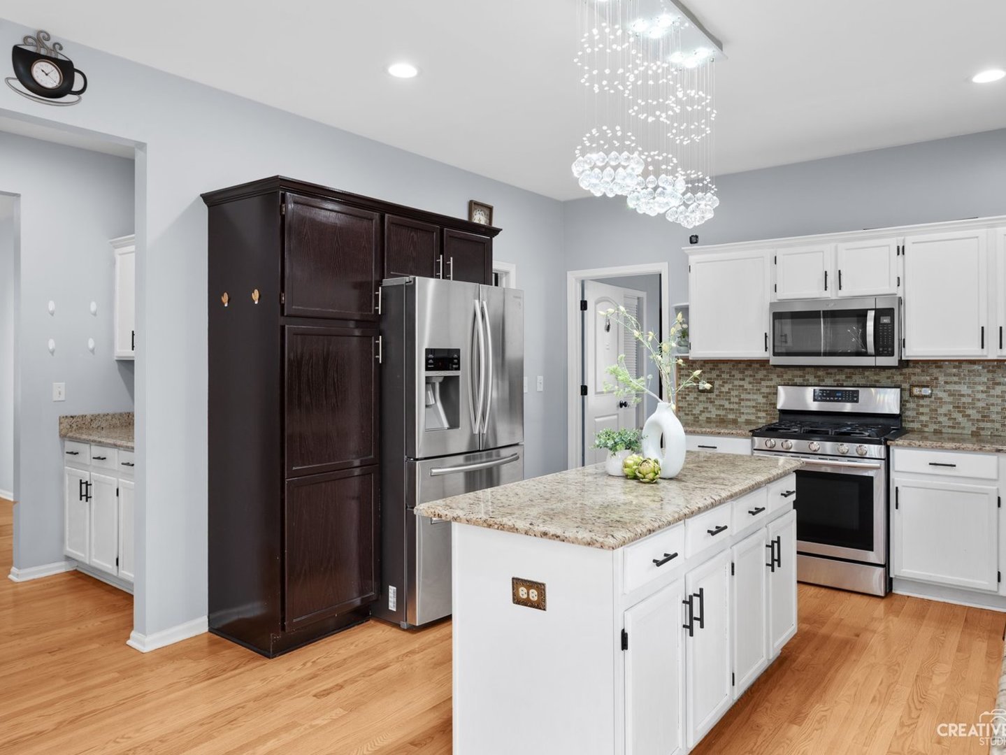 1208 Amaranth Drive Naperville IL 60564