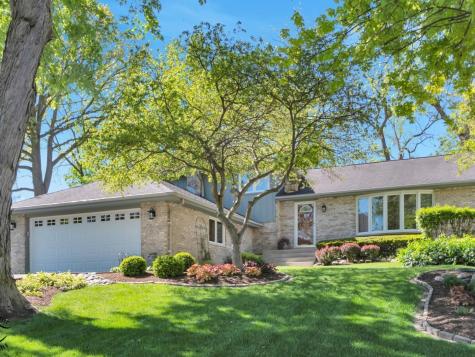 15903 West Shady Lane Homer Glen IL 60491