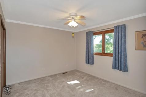 15903 West Shady Lane Homer Glen IL 60491