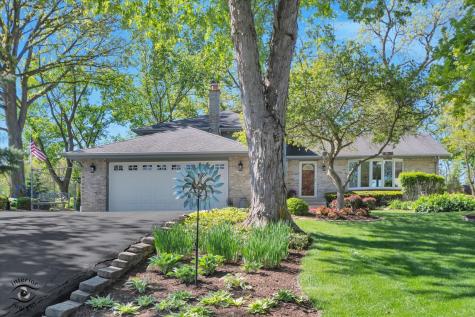 15903 West Shady Lane Homer Glen IL 60491