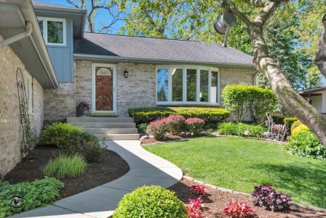 15903 West Shady Lane Homer Glen IL 60491