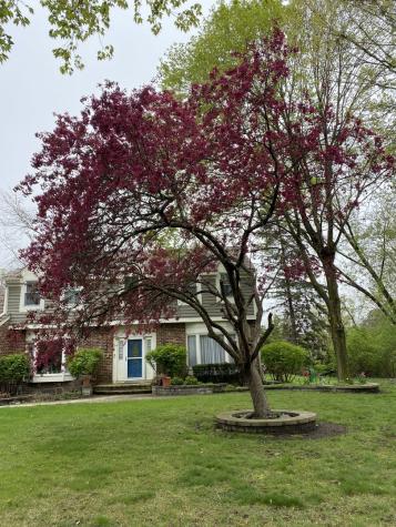 5544 Oak Grove Drive Long Grove IL 60047