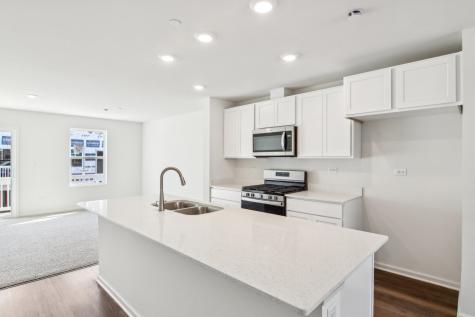 17337 Ulster Drive Tinley Park IL 60477