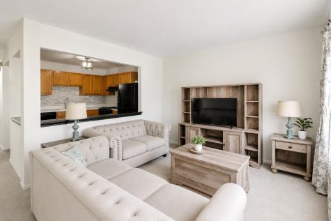 29 North Macgillis Drive Round Lake IL 60073