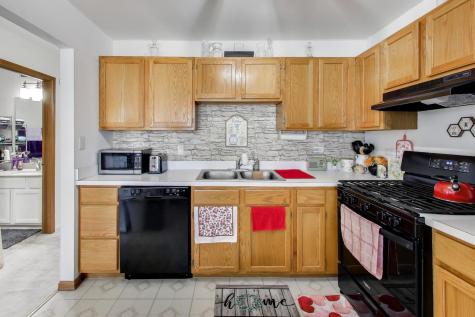 29 North Macgillis Drive Round Lake IL 60073