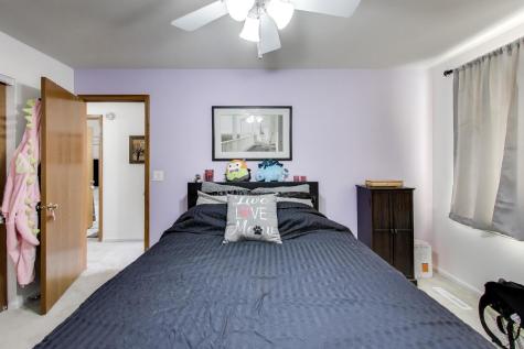 29 North Macgillis Drive Round Lake IL 60073