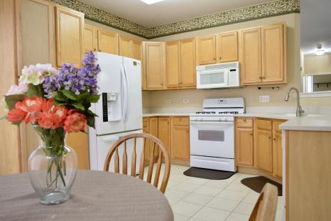 1126 North Oakwood Drive Fox Lake IL 60020