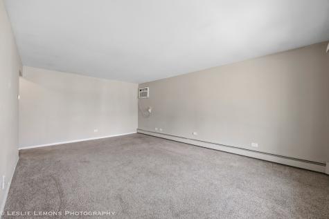 2919 West 101st Place Evergreen Park IL 60805