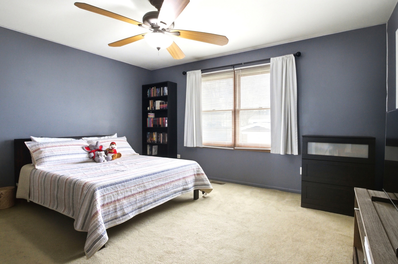 149 Beaver Creek Drive Bolingbrook IL 60490