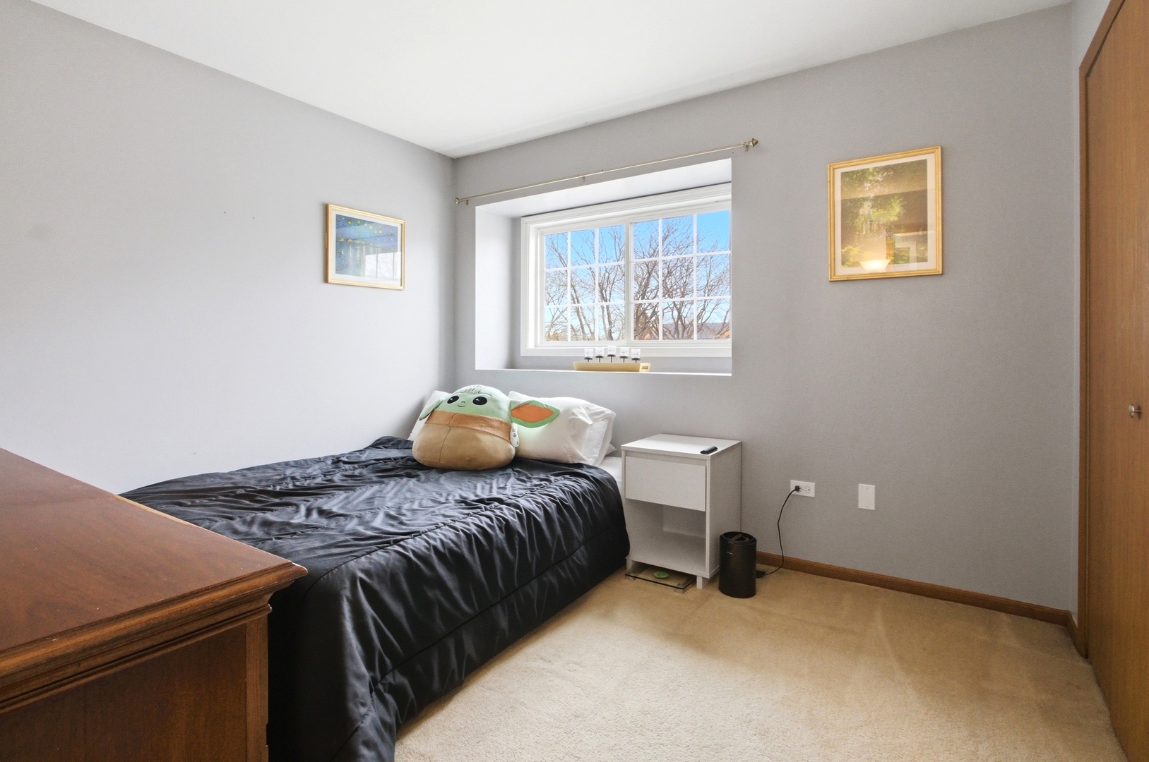 149 Beaver Creek Drive Bolingbrook IL 60490