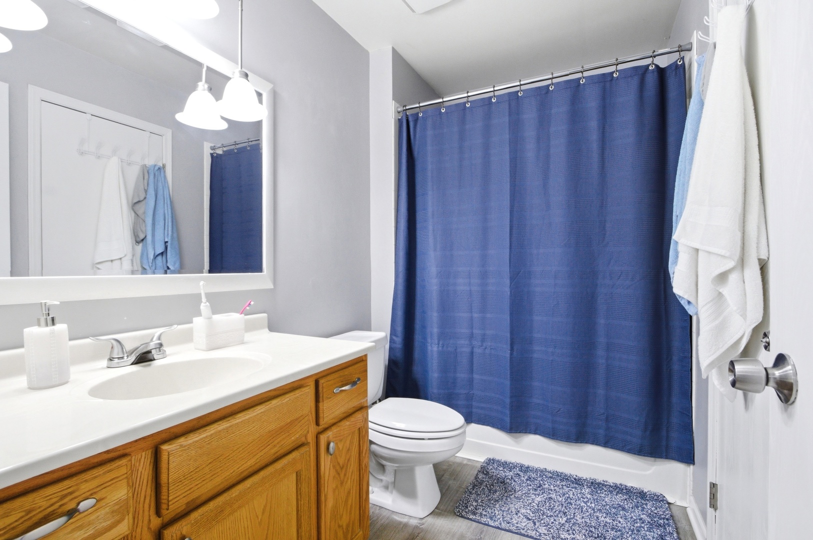 149 Beaver Creek Drive Bolingbrook IL 60490