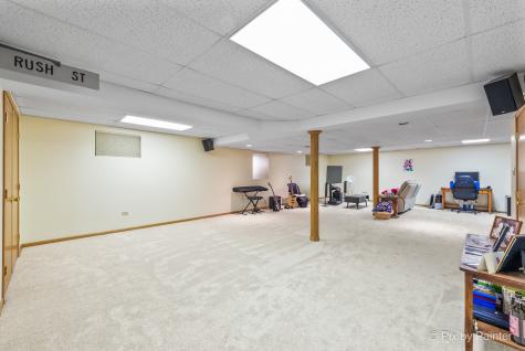 16830 South Pineview Drive Homer Glen IL 60491