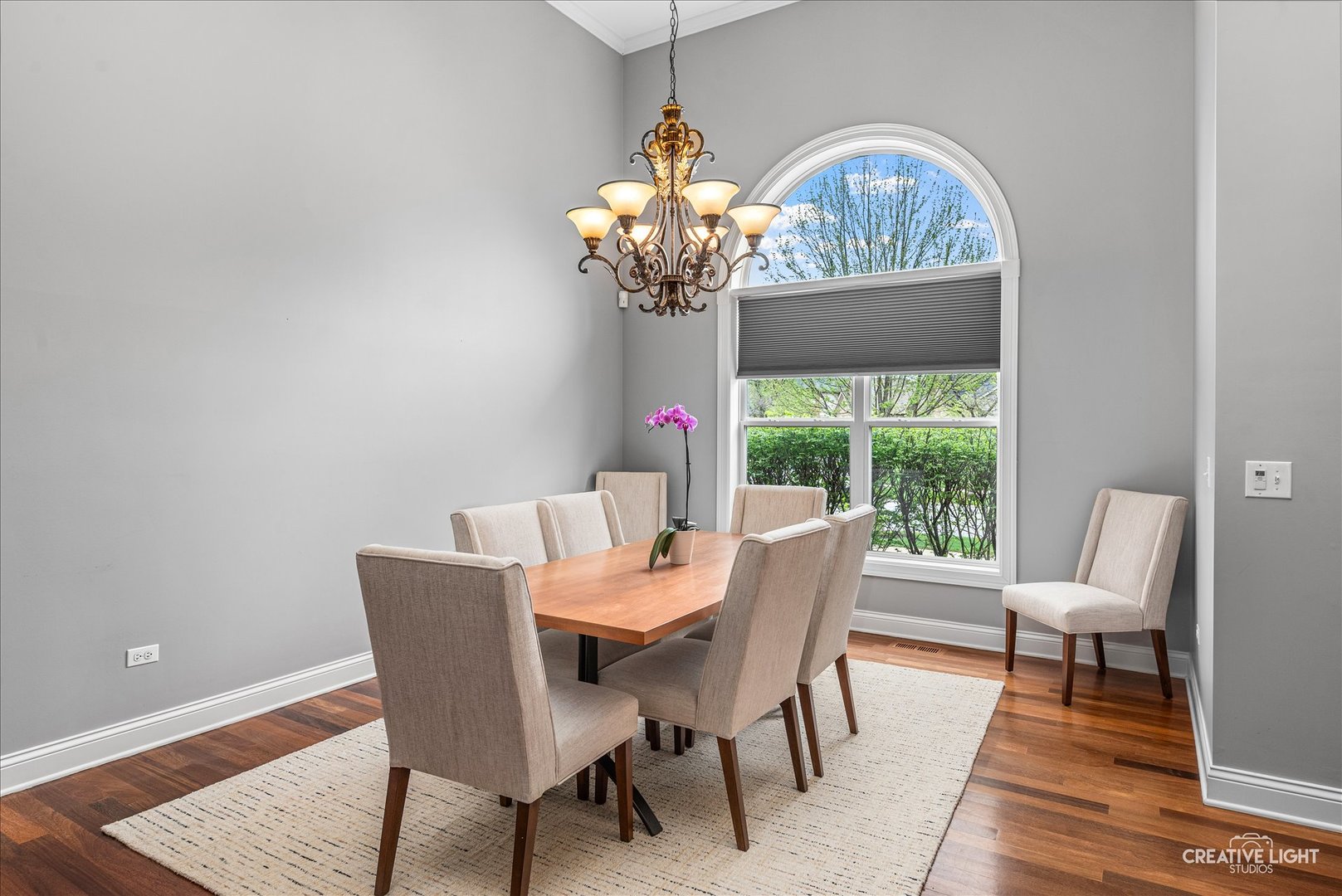 13002 Silverleaf Court Plainfield IL 60585