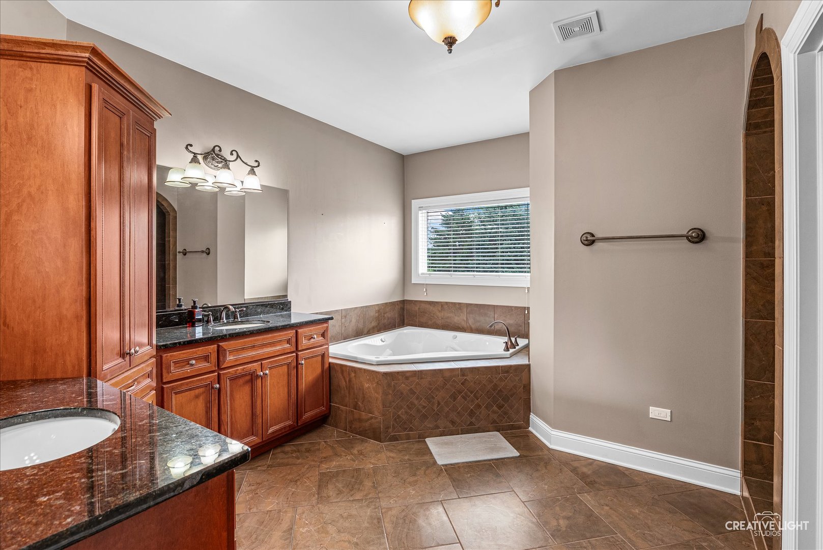 13002 Silverleaf Court Plainfield IL 60585