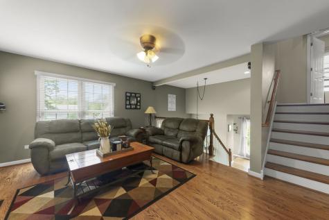 4528 Middaugh Avenue Downers Grove IL 60515