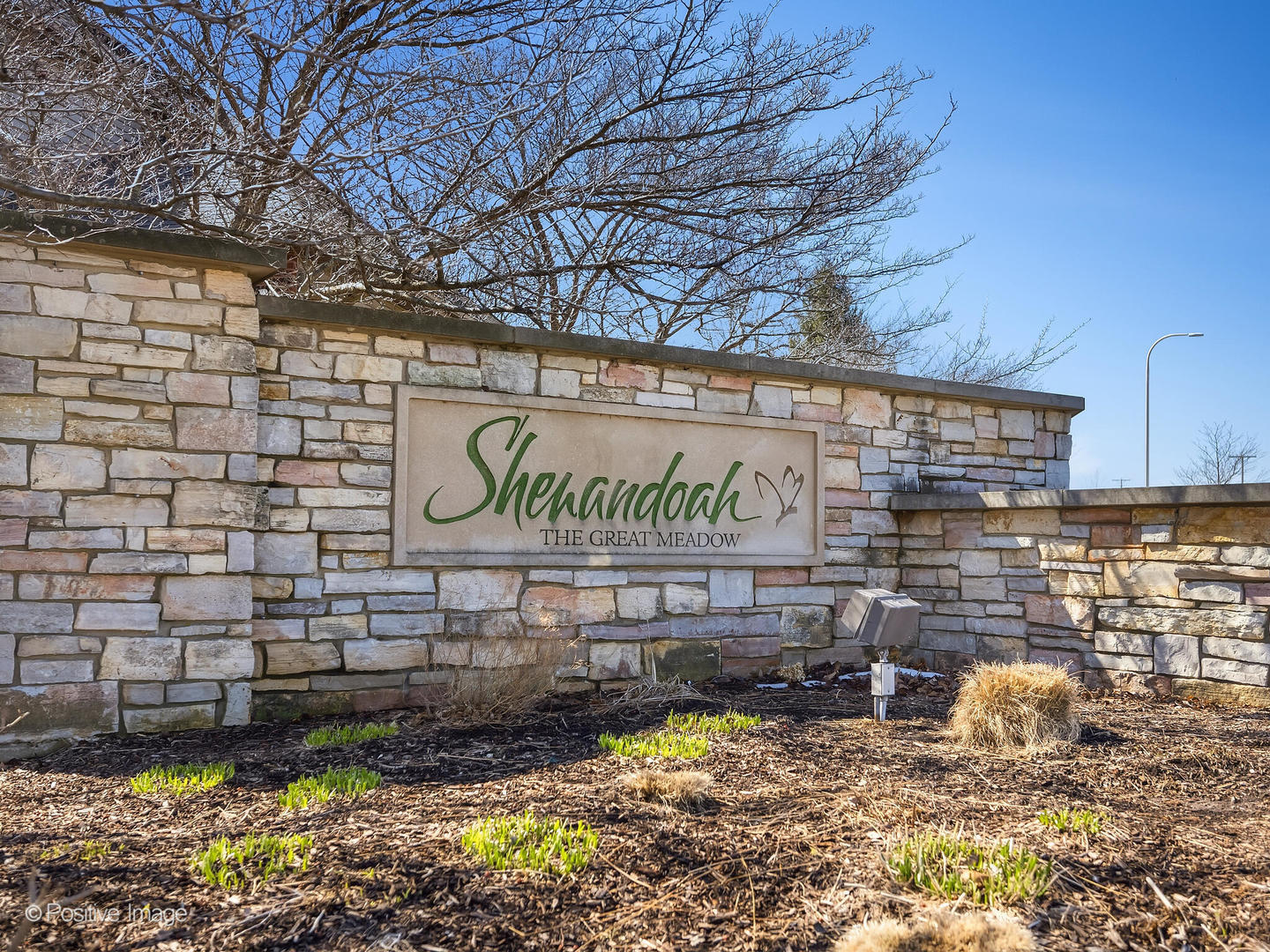 25704 Pastoral Drive Plainfield IL 60585
