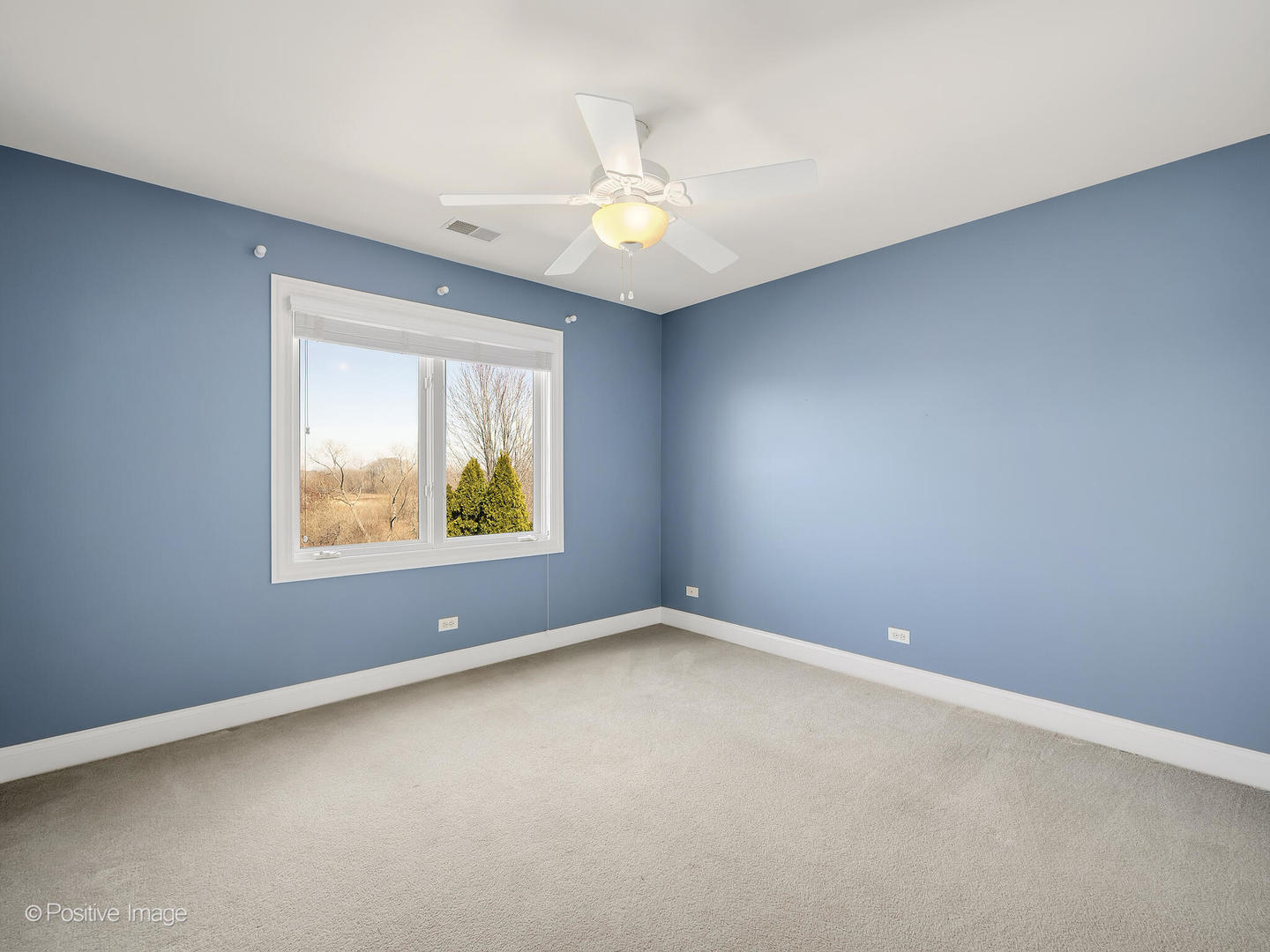 25704 Pastoral Drive Plainfield IL 60585