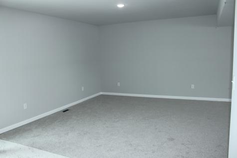 828 Blackhawk Drive Braidwood IL 60408