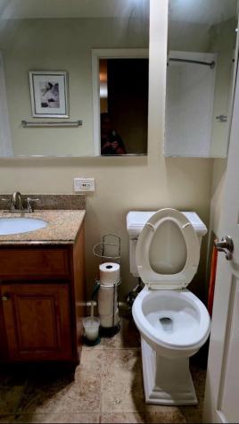 1919 South Wolf Road Hillside IL 60162