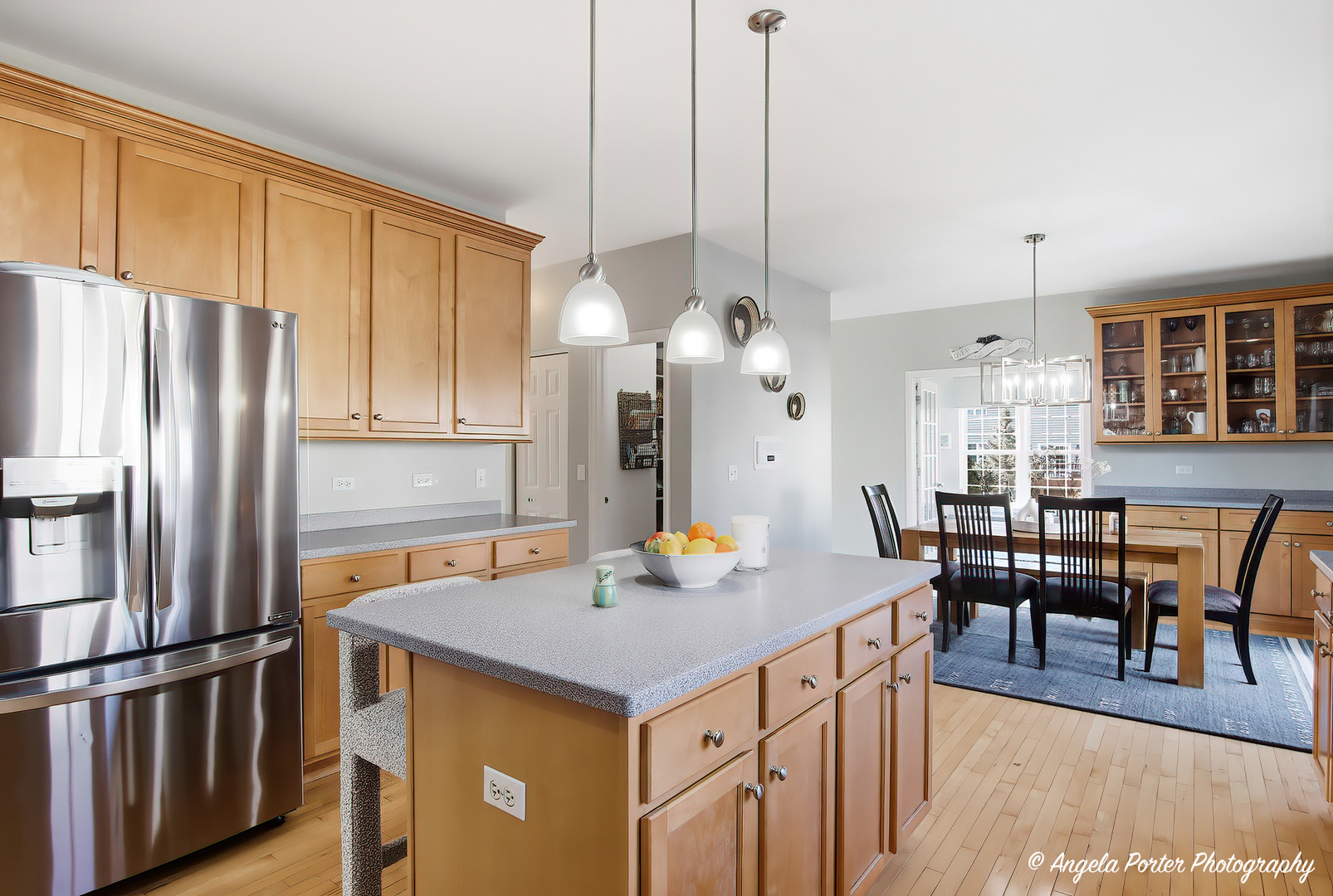 9 Laurel Valley Court Lake In The Hills IL 60156
