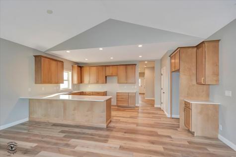 1195 South Farmstone Drive Diamond IL 60416