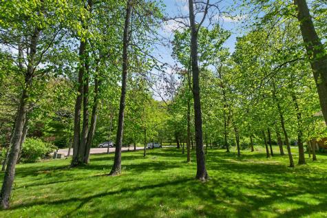 1110 White Pine Drive Dixon IL 61021