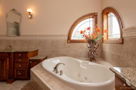 10840 Crystal Meadow Court Orland Park IL 60467