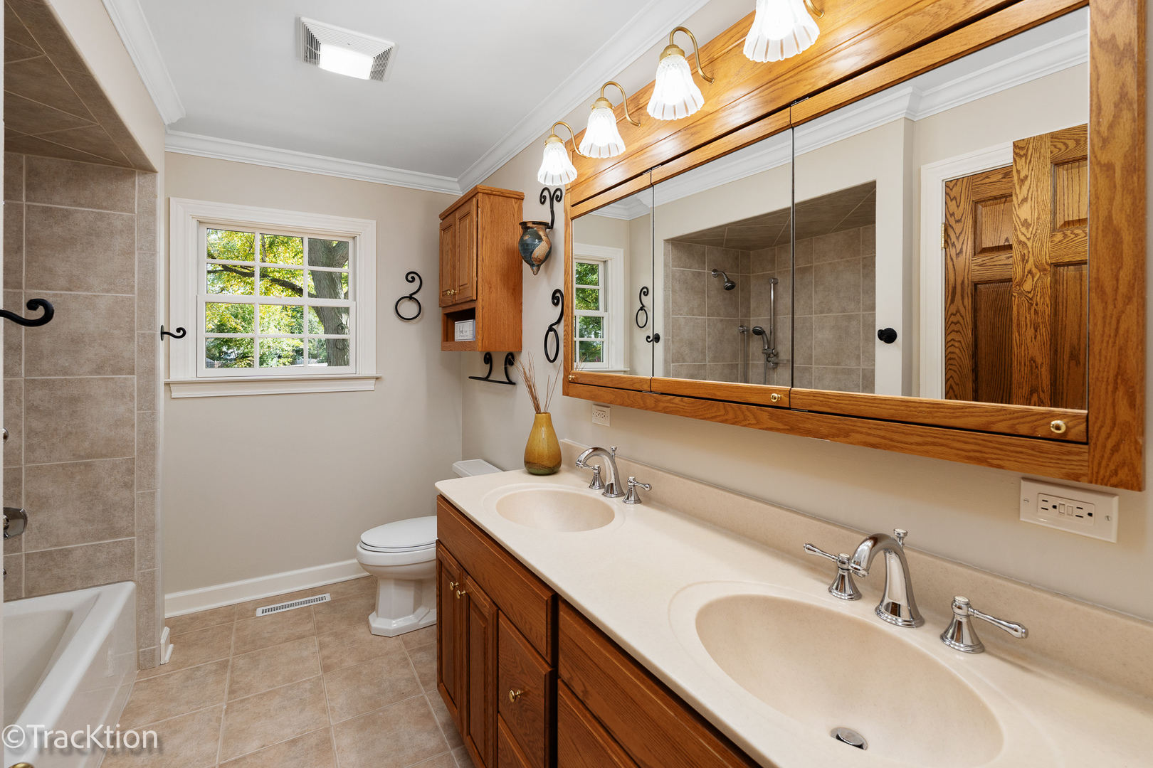 6937 Parkview Drive Downers Grove IL 60516