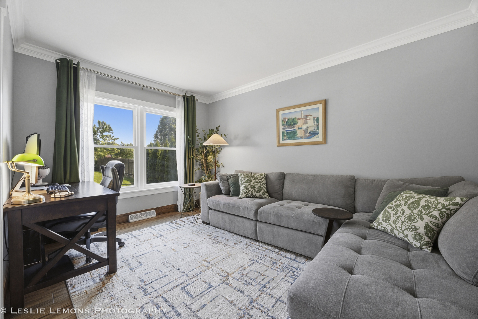 386 Hoyer Court Naperville IL 60565