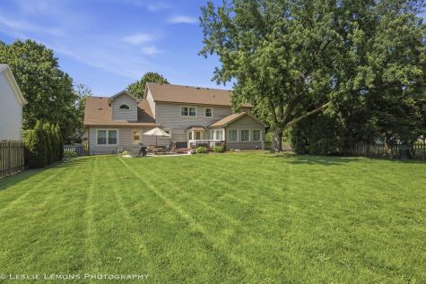 386 Hoyer Court Naperville IL 60565