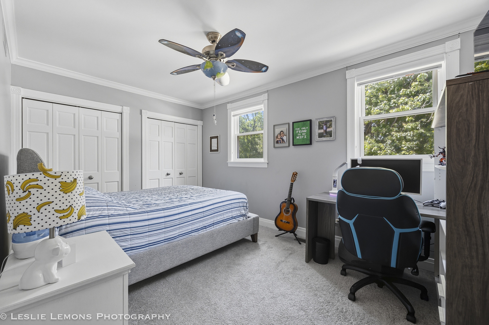 386 Hoyer Court Naperville IL 60565