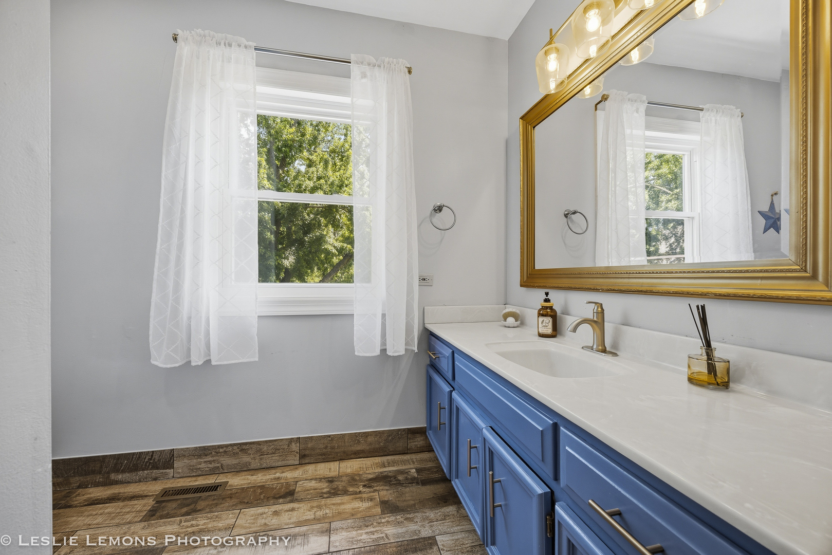 386 Hoyer Court Naperville IL 60565