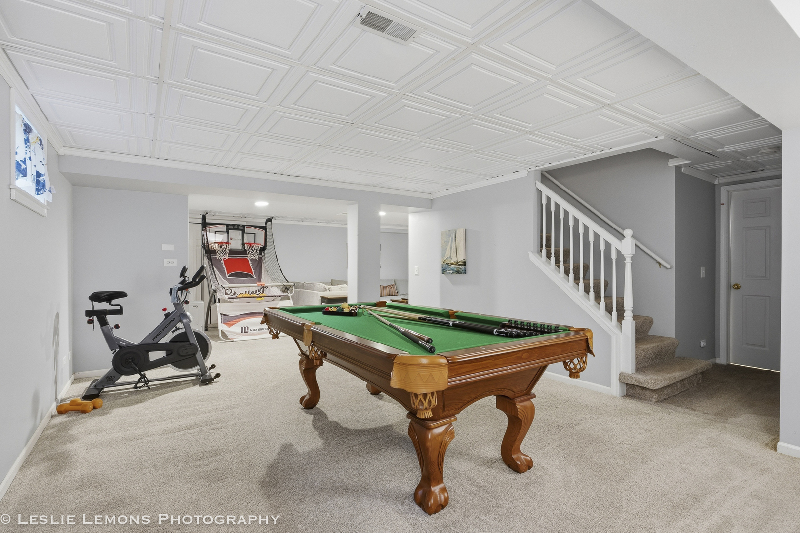386 Hoyer Court Naperville IL 60565
