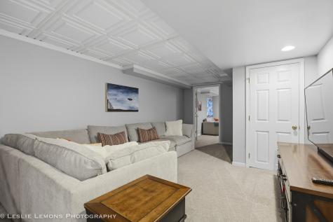 386 Hoyer Court Naperville IL 60565