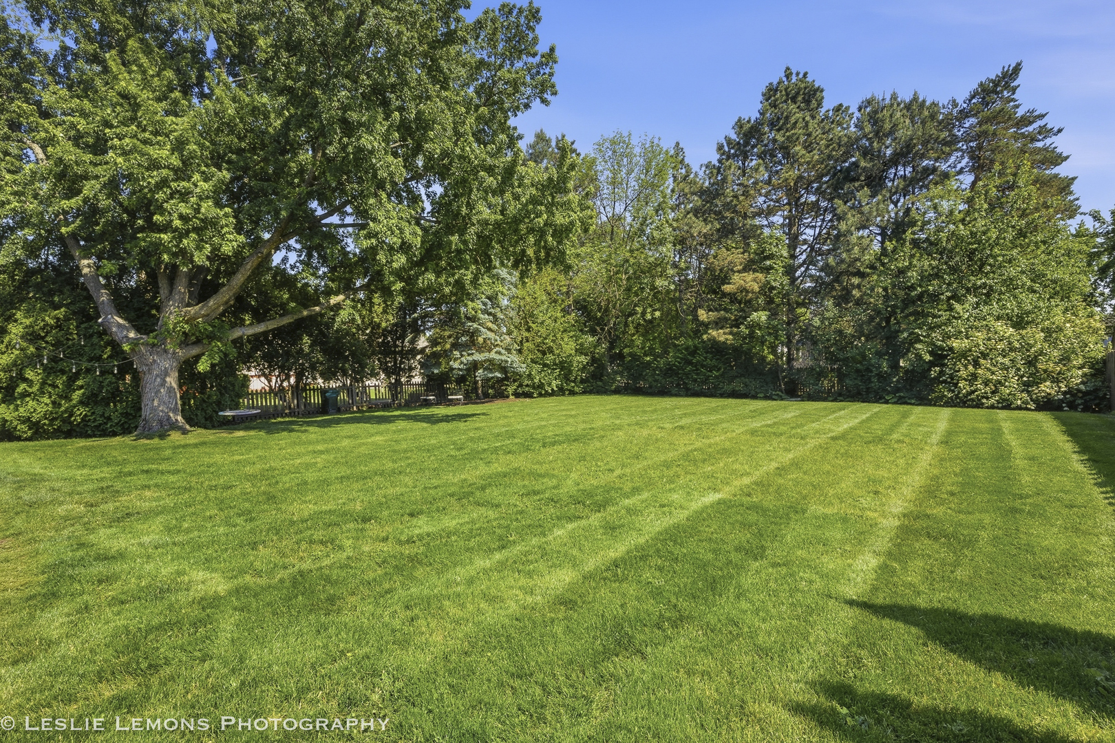 386 Hoyer Court Naperville IL 60565
