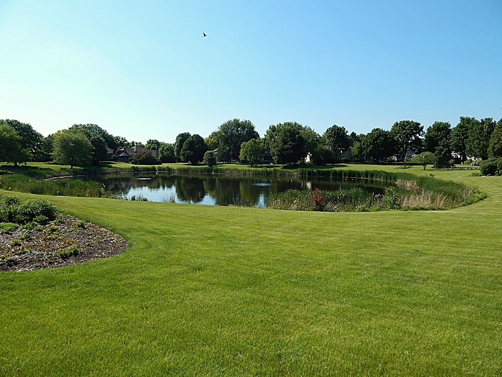 386 Hoyer Court Naperville IL 60565