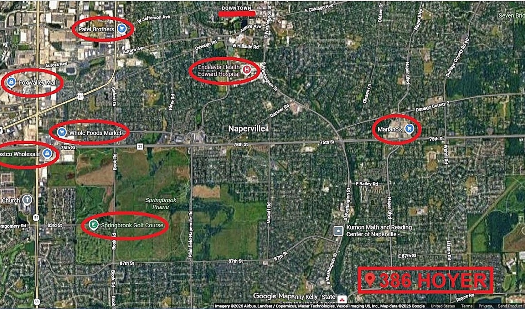 386 Hoyer Court Naperville IL 60565