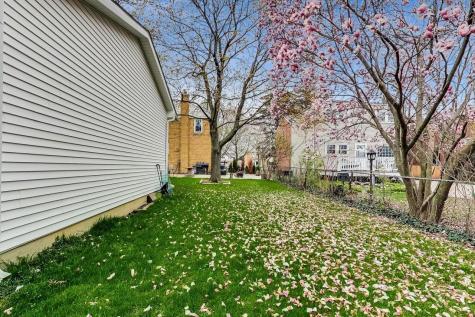 2012 Newton Avenue Park Ridge IL 60068