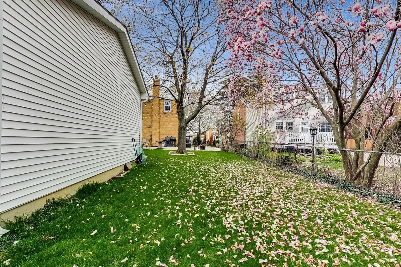 2012 Newton Avenue Park Ridge IL 60068