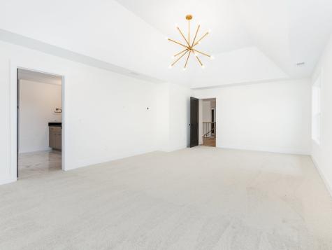12723 Caruso Court Lemont IL 60439