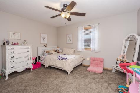 1259 Brendan Drive Morris IL 60450