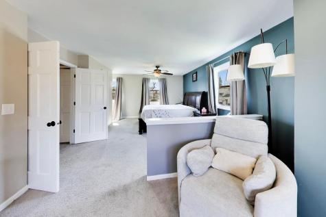 5S671 Buttonwood Court Naperville IL 60540
