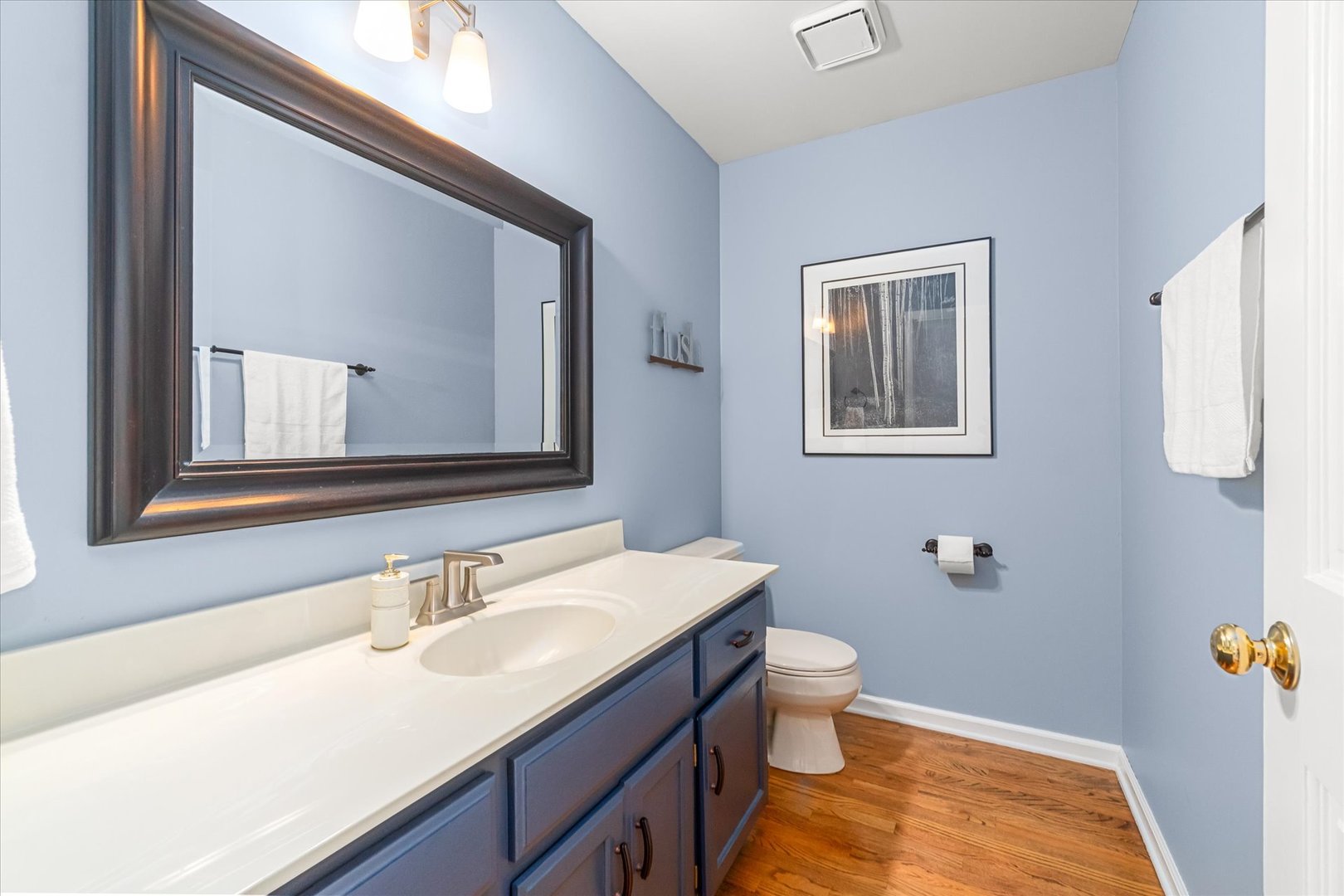 1211 Conan Doyle Road Naperville IL 60564