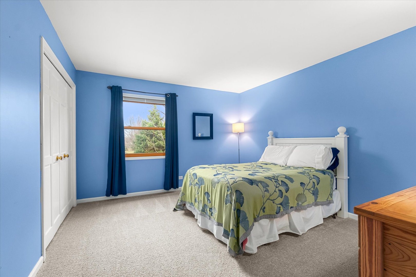 1211 Conan Doyle Road Naperville IL 60564