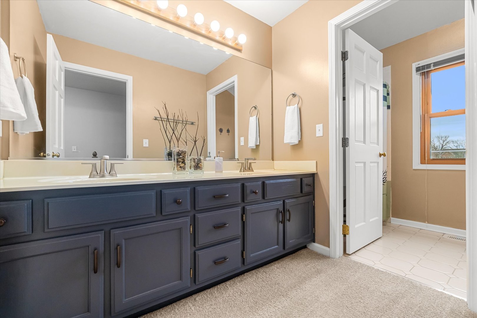 1211 Conan Doyle Road Naperville IL 60564