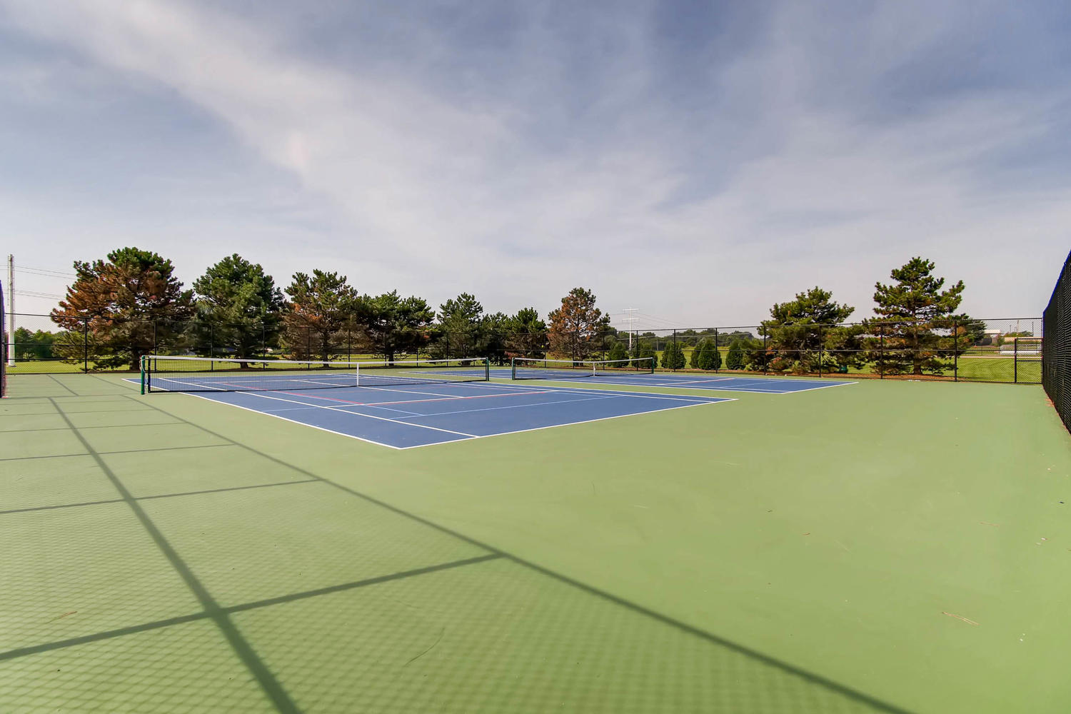 1211 Conan Doyle Road Naperville IL 60564