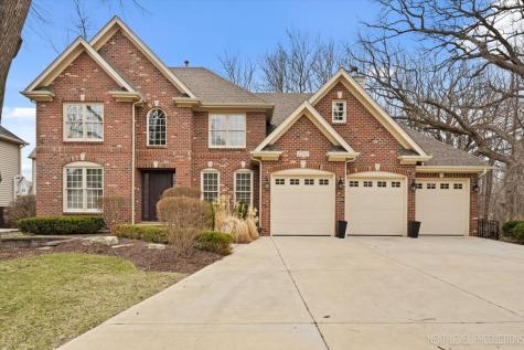 2747 Charter Oak Drive Aurora IL 60502